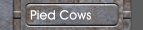 Pied Cows