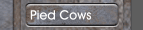 Pied Cows