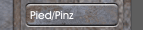 Pied/Pinz 